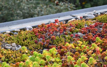 the cost of Sutton Under Whitestonecliffe green roof installation