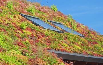 Sutton Under Whitestonecliffe living roof systems